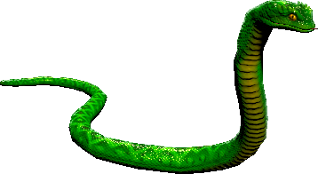 mob_level_24_green_snake.png mob_level_24_green_snake.png
