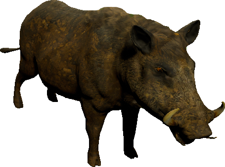 mob_level_9_dirty-boar.png mob_level_9_dirty-boar.png