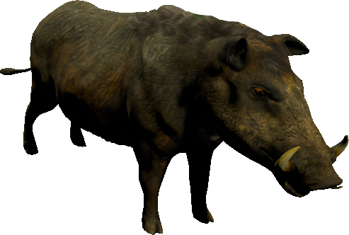 mob_level_7_boar.png mob_level_7_boar.png