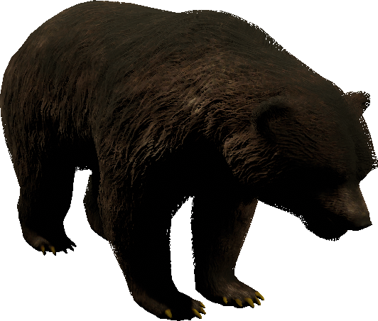 mob_level_20_black-bear.png mob_level_20_black-bear.png