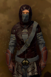  Assassin 