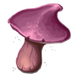 Cogumelo de Fungóide