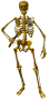 mob_lesser_skeleton.png
