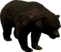 mob_level_20_black-bear.png