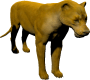 mob_level_22_lioness.png