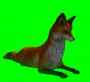 fox_atwork.png