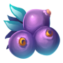 plant_36.png