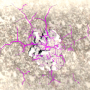 rift_58.png