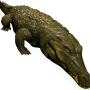 mob_level_31_dirty-crocodile.png