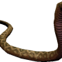 mob_level_21_snake.png