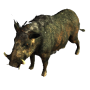 boar.png