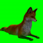 fox_atwork.png