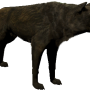 mob_level_10_hungry-black-wolf.png