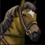 palomino_horse.png