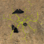 rift_49.png