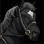 black_horse.png