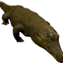 mob_level_32_aligator.png